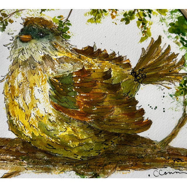 2020s Original Watercolor Ink and Wash Painting “Poofy Bird” For Sale - Image 5 of 8