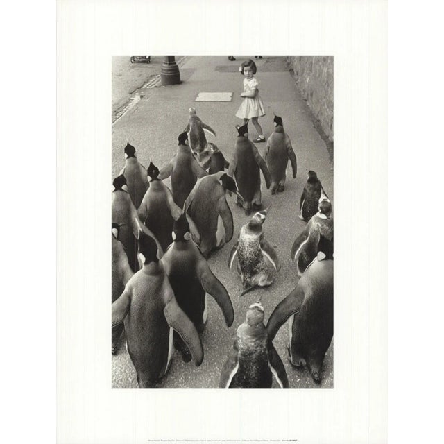 French 1990s Werner Bischof 'Penguins Day Out' Photography Black & White France Offset Lithograph For Sale - Image 3 of 3