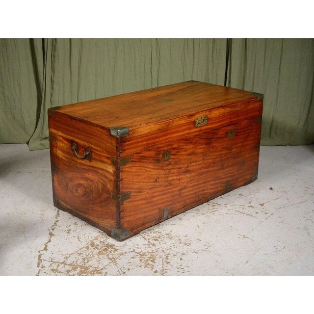 Large Double Lock Camphor Wood Campaign Chest, 1850s For Sale - Image 3 of 12