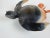 Late 20th Century Artist Studio Pottery Sea Turtle Whistle For Sale - Image 5 of 11