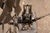 Early "Samson" Wind Mill Salesman Sample by Stover For Sale - Image 15 of 16