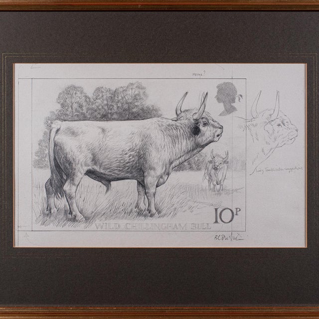 Artist's Proof Sketch, English, Framed Drawing, Barry Driscoll, Chillingham Bull For Sale - Image 4 of 10