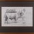 Artist's Proof Sketch, English, Framed Drawing, Barry Driscoll, Chillingham Bull For Sale - Image 4 of 10