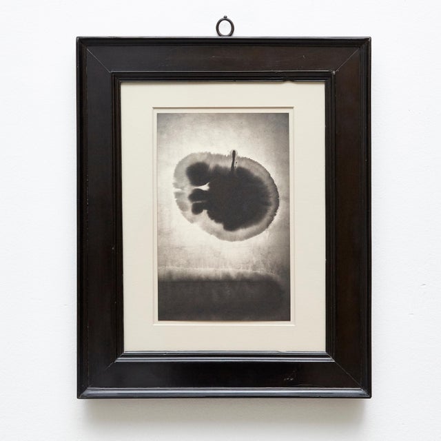 Mouth of Krishna 110 Print by Albarran & Cabrera, 2013 For Sale - Image 11 of 11