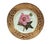 Antique Derby Porcelain Botanical Plate, Marsh Hibiscus, Salmon Ground with Gilt Swans, John Brewer, Circa 1815 A single...