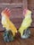 Mid 20th Century Mid-20th Century California Pottery Cockatoo Figurines – Set of Two For Sale - Image 5 of 9