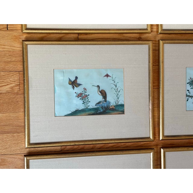 Antique Chinese Export Gouache Bird Paintings on Pith, Set of 6 For Sale - Image 4 of 12