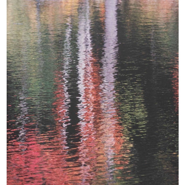 Sonja Bullaty Autumn River Chromogenic Print For Sale - Image 4 of 9