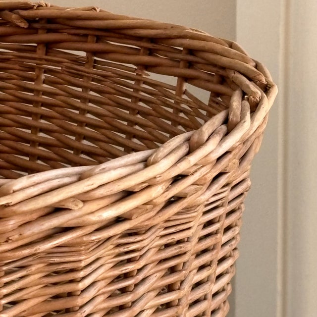 Large Mid-20th Century Natural Wicker Planter Basket For Sale - Image 13 of 18