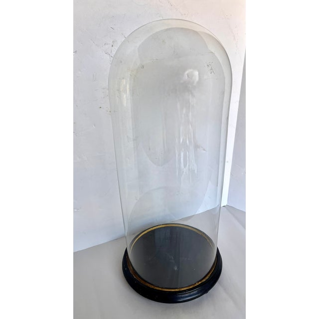 French Early 1900s French Hand Blown Glass Cloche on Wood Footed Base For Sale - Image 3 of 12