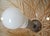 Glass Tulip Pendant Light from Peill & Putzler For Sale - Image 8 of 10