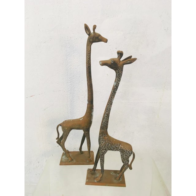 Vintage Brass Giraffes, a Pair For Sale - Image 10 of 10