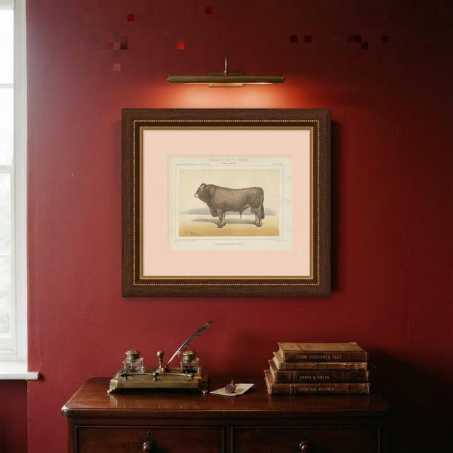 Paper Olivier De Penne, Bazadaise Bull, French Cattle, 1863, Chromolithograph For Sale - Image 7 of 9