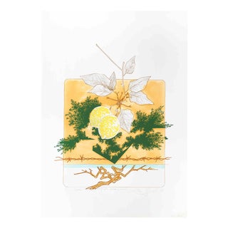 Leo Guida, Still Life (Lemons), 1970s, Etching For Sale