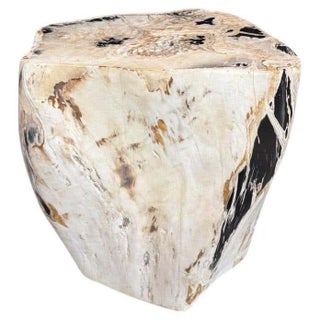 Andrianna Shamaris Multifaceted Modern Organic Petrified Wood Side Table For Sale