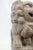 Foo Dog Statue For Sale - Image 13 of 13