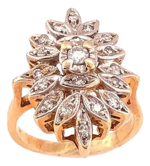 14 Karat Two-Tone White and Yellow Gold With Diamond Cluster Ring 0.50 TDW, Size 5.75