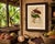 Paper Berthe Hoola van Nooten, Cacao Tree (Theobroma Cacao), 1880, Chromolithograph For Sale - Image 7 of 9