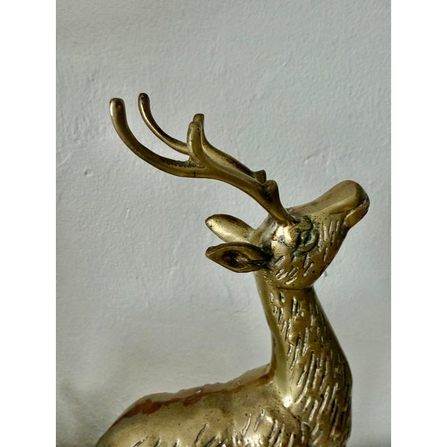 Solid Brass Deers, Pair For Sale In Miami - Image 6 of 7