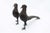 Chiseled Silver Pheasants with Long Tails, Set of 2 For Sale - Image 10 of 10