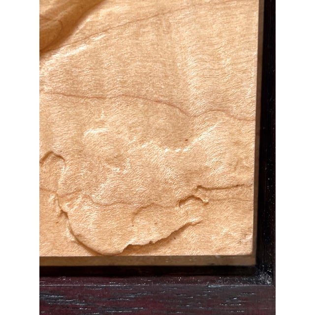 Nuthatch by Dana Younger | Maple and Niove Relief of a bird on a tree branch For Sale - Image 4 of 5