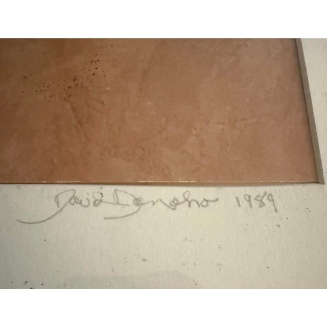 Native American David Dohono Winter in My Patio 1989 Signed Photography Framed Listed Artist For Sale - Image 3 of 7