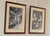 Illustration Vintage Pair of Framed Prints, New Orleans Pharmacy Museum For Sale - Image 3 of 12