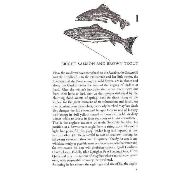 1990s "Bright Salmon and Brown Trout" 1996 Lamb, Dana S. For Sale - Image 5 of 9