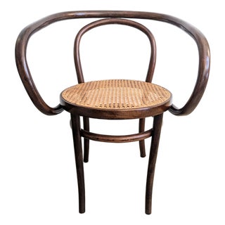 Vintage Gerdau Bentwood Chair Caviuna Wood & Cane Seat in the Style of Thonet For Sale