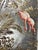 If you love the look of De Gournay wallpaper but not the price, this is for you. Exquisite hand‑painted wall panel...
