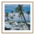 Slim Aarons 'Florida Palms' Framed in Brown Archival Pigment Print For Sale