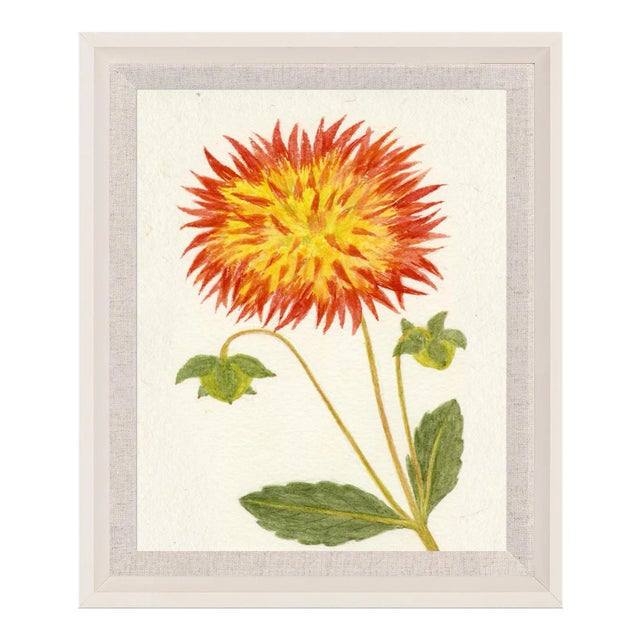 Hubbard Flower, Small: 7850 Artwork, Framed Artwork For Sale