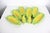 1970’s Vintage Ceramic Corn on the Cob Dishes With Salt and Pepper Shakers - 8 Pieces For Sale - Image 4 of 12