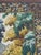 Vintage French Verdure Jacquard Tapestry in the style of Aubusson, 1970s For Sale - Image 16 of 18