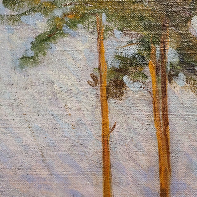 French School Artist, Pine Forest, 20th Century, Oil on Canvas, Framed For Sale - Image 10 of 18