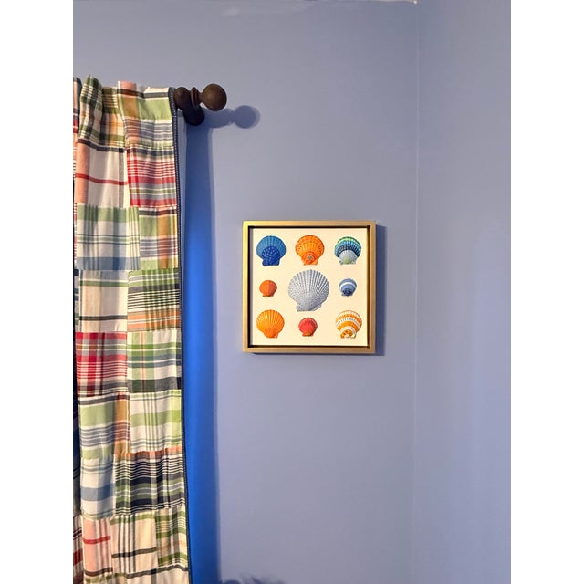 2020s Hand-Painted Blue & Orange Seashell Art in Gold Floating Frame – Coastal Pop Art, 12” X 12” For Sale - Image 5 of 6