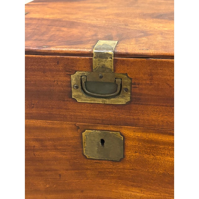 Brown Large 19th Century British Campaign Trunk in Brass Bound Camphor Wood For Sale - Image 8 of 15