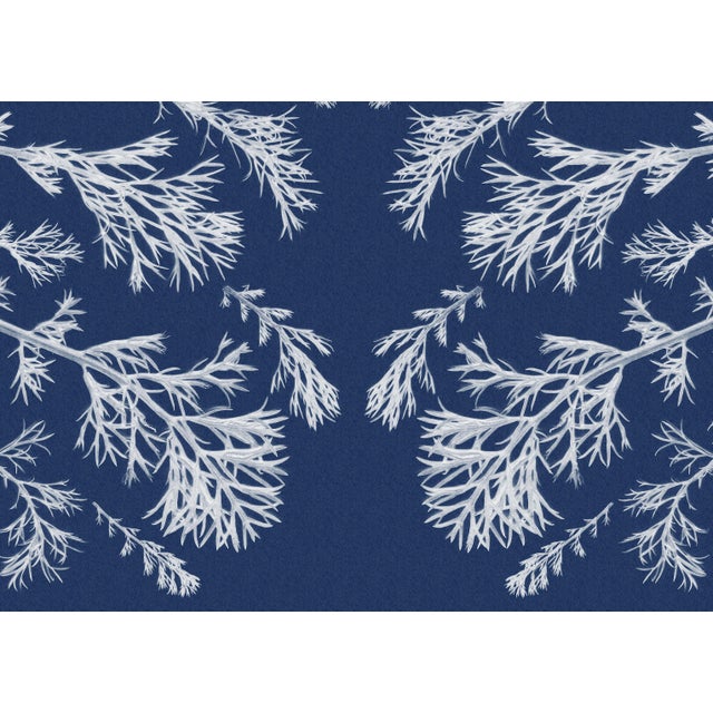Paper "Vintage Botanical Pressed Flowers Nº3", Botanical Cyanotype, Limited Edition 2020 For Sale - Image 7 of 11