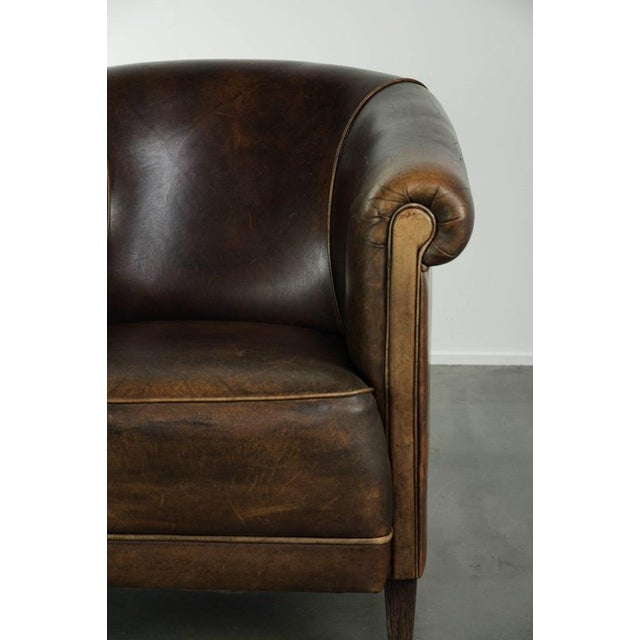 Vintage Dark Sheepskin Club Armchair For Sale - Image 9 of 13