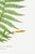 Green Fern Botanical Art Print – Feathery Green Frond Illustration, 12" X 18" For Sale - Image 8 of 9