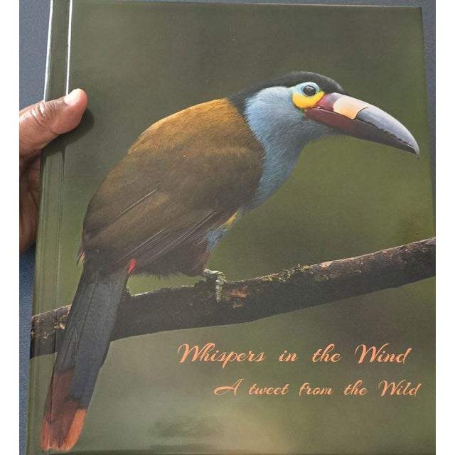 2020s Whispers in the Wind a Tweet From the Wild For Sale - Image 5 of 17
