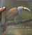 2020s Whispers in the Wind a Tweet From the Wild For Sale - Image 5 of 17