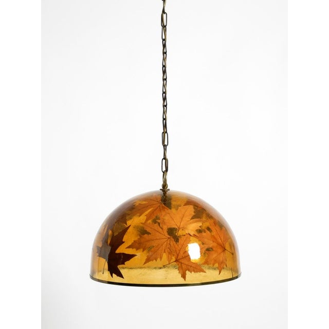 Large Italian Resin Pendant Lamp with Embedded Maple Leaves, 1970s For Sale - Image 10 of 18