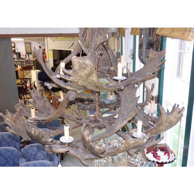 1990s 1990s Extremely Large Baronial Hunting Lodge Style Moose Antler Horn Chandelier For Sale - Image 5 of 11
