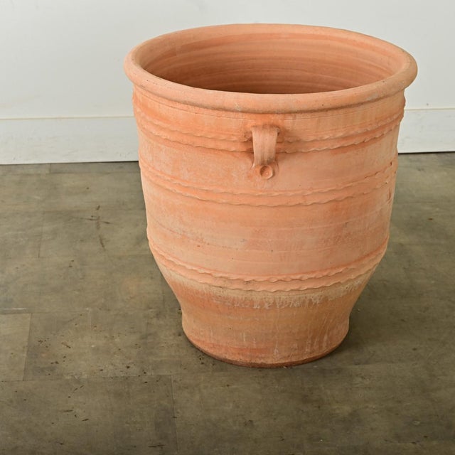 Greek Reproduction Terracotta Pot For Sale In Baton Rouge - Image 6 of 8
