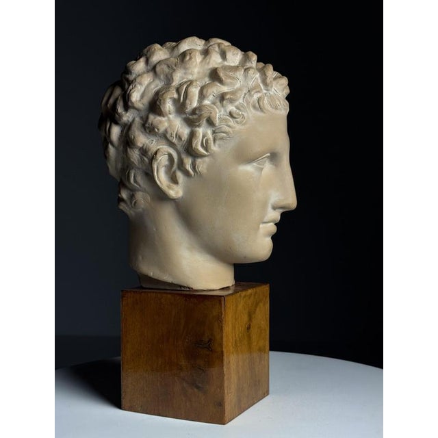 Greek Head Statue in Plaster For Sale - Image 10 of 14
