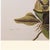 1966 Mangrove Cuckoo After John J. Audubon, Cottage Print For Sale In Dallas - Image 6 of 10