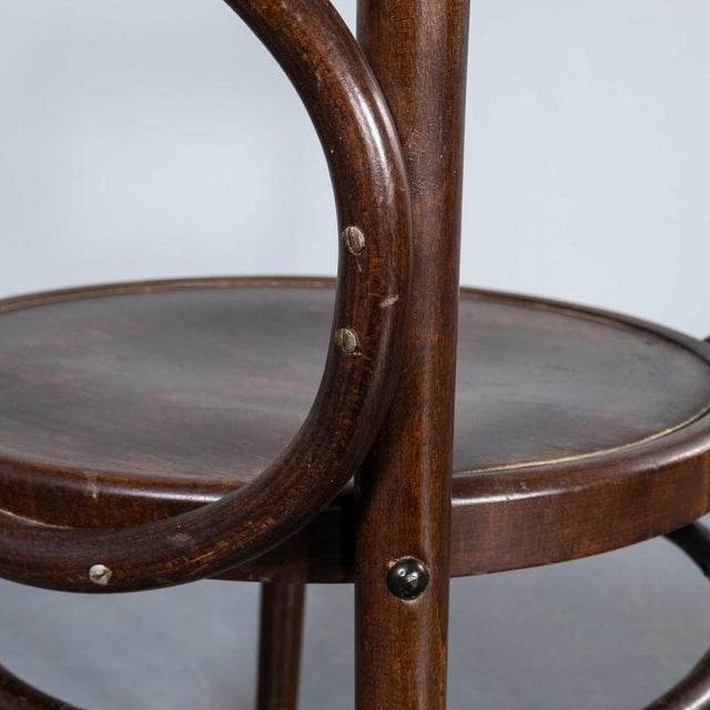1960s Large Vintage Open Back Bentwood Dining Armchair, 1960s For Sale - Image 5 of 11