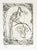 Lucio Fontana, Etching of Rooster on Branch Edition of 100, 1965, Etching For Sale - Image 4 of 4