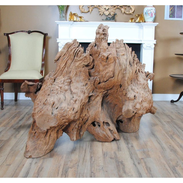 Abstract Vintage Live Edge Tree Root Sculpture For Sale - Image 3 of 12